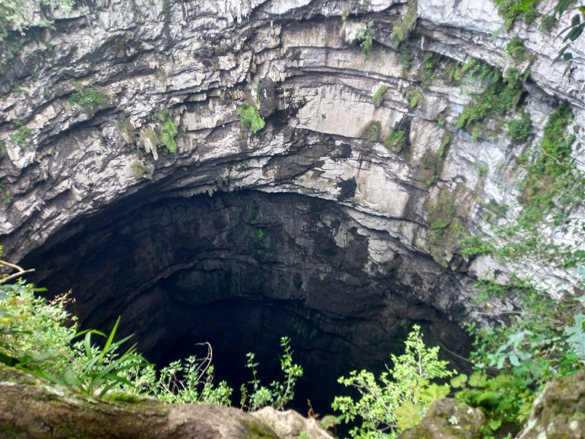 Cave of Swallows