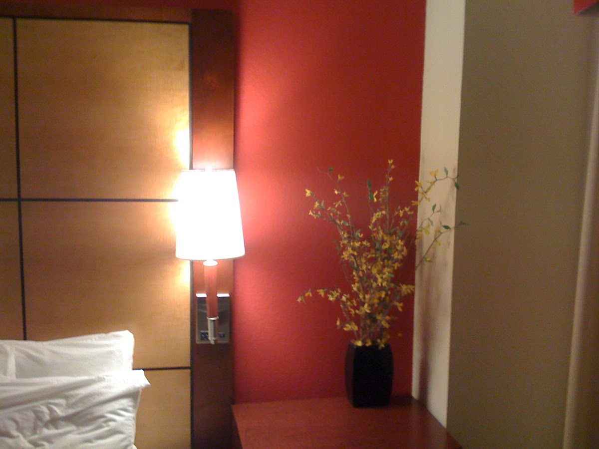 Executive Inn photo 2
