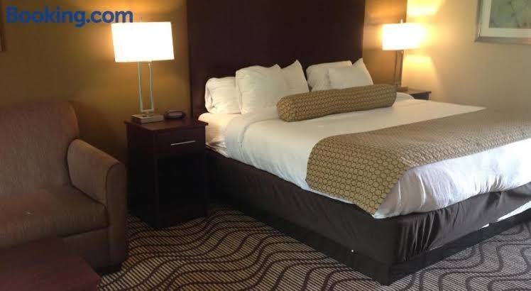 Executive Inn and Suites photo 3