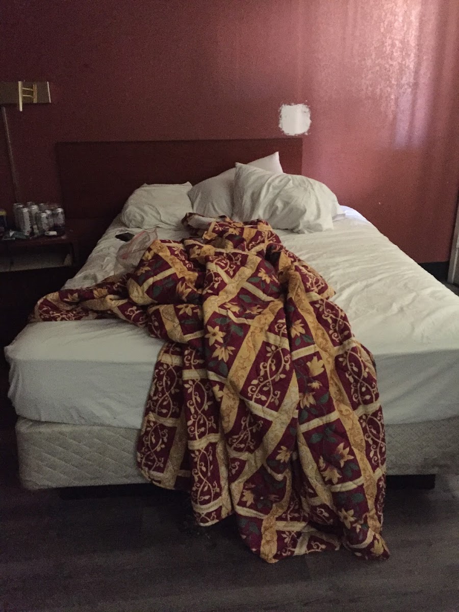 Budget Motel photo 2