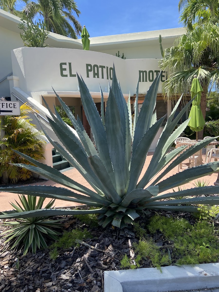 El Patio Motel photo 3