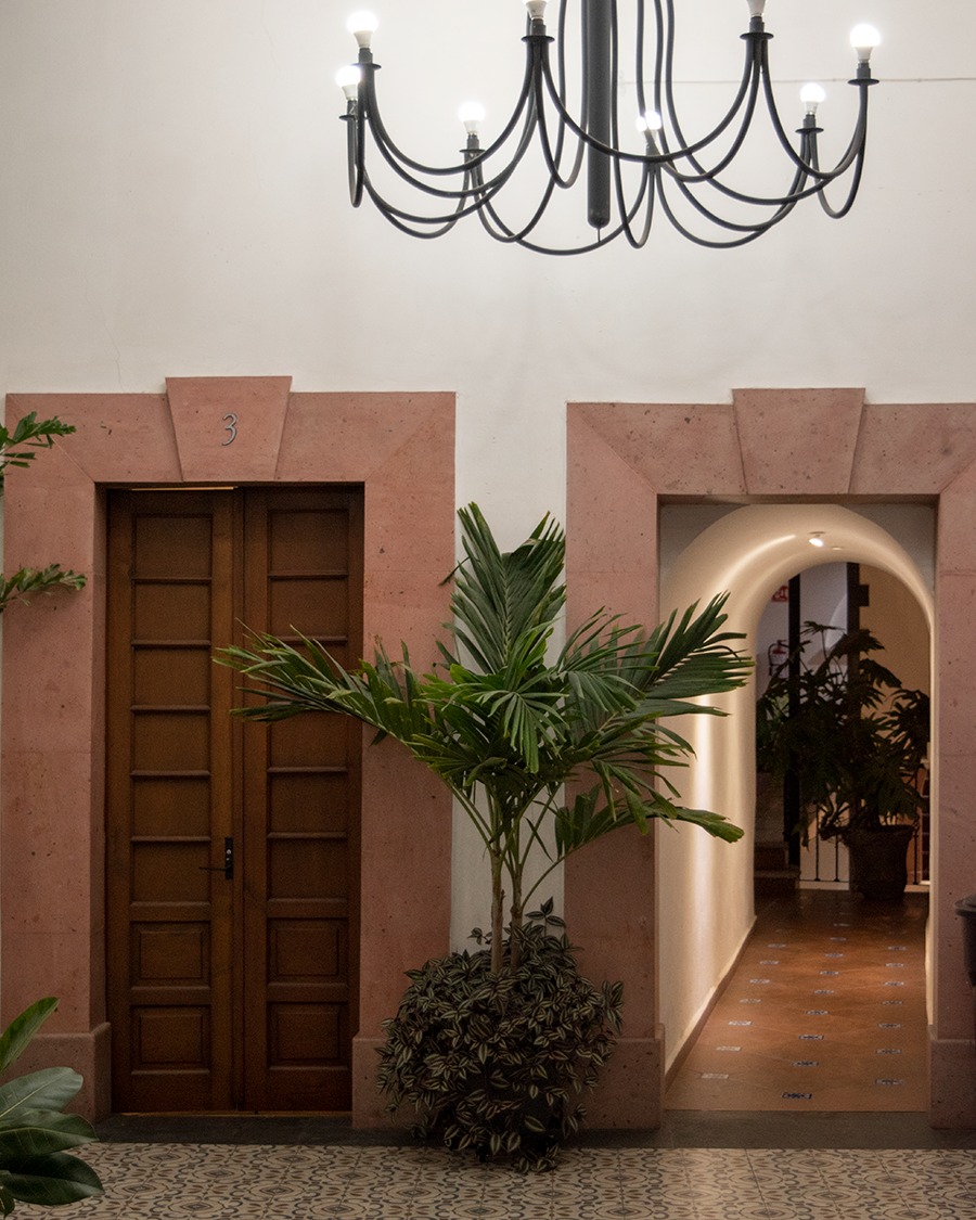 HOTEL CATEDRAL photo 3