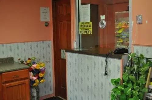 Executive Inn photo 2