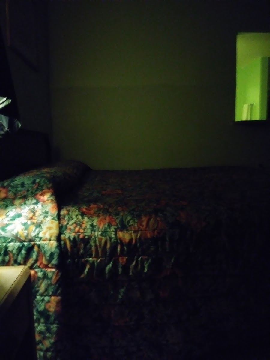 Executive Inn photo 3