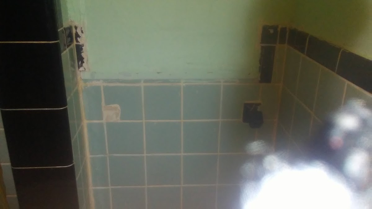 American Motel photo 2