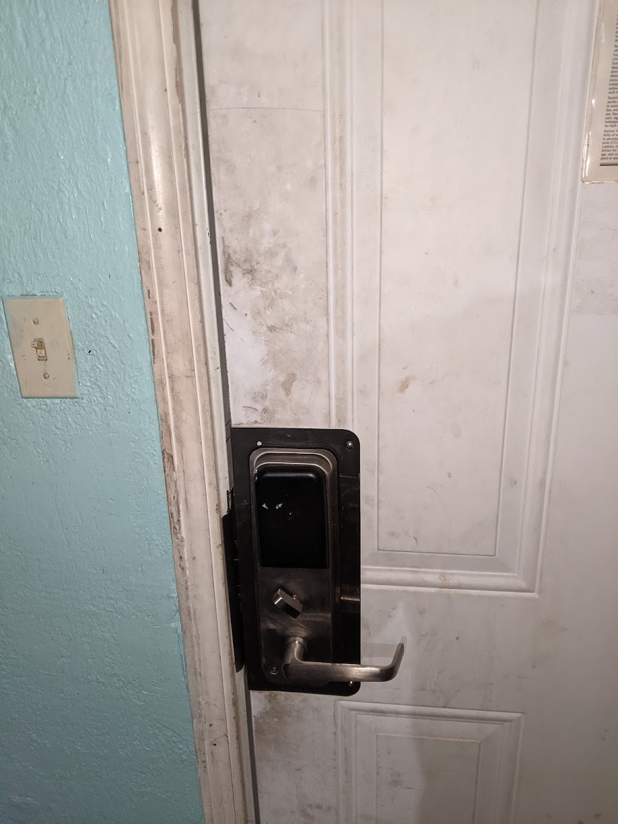American Motel photo 3