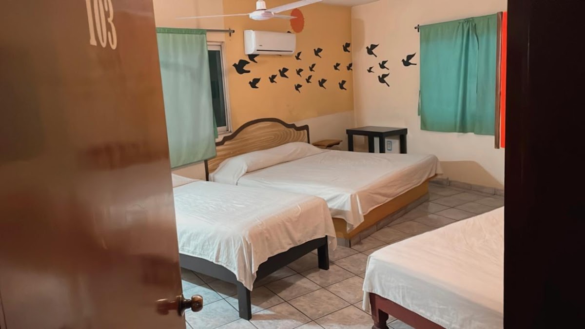 Hotel Alberto photo 3