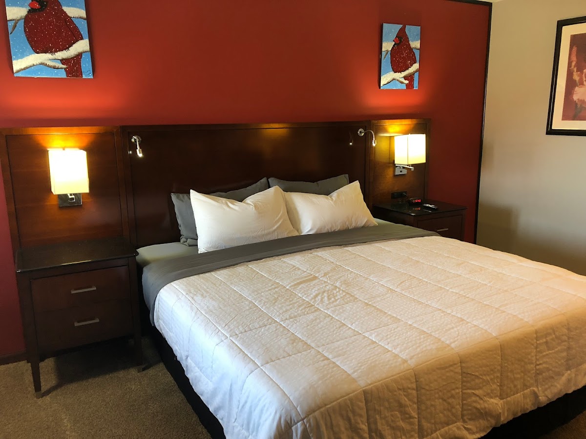 Viking Motel