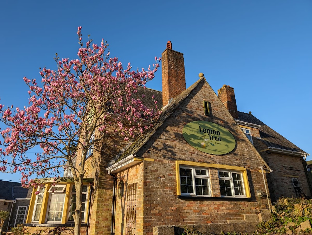 Lemon Tree Inn