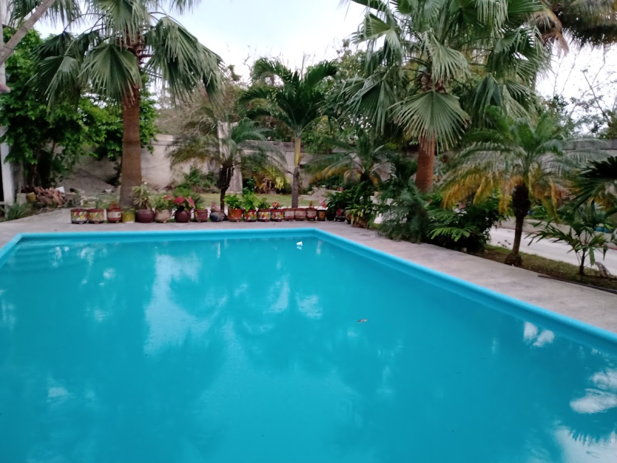 Hotel Del Rio photo 2