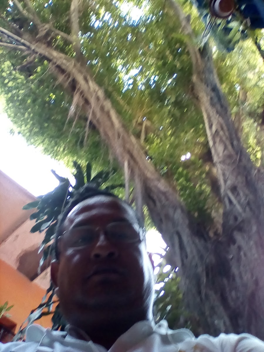 Hotel Rio photo 3