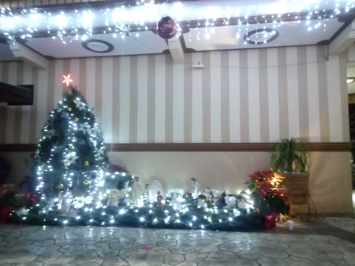 Hotel La Gloria photo 3