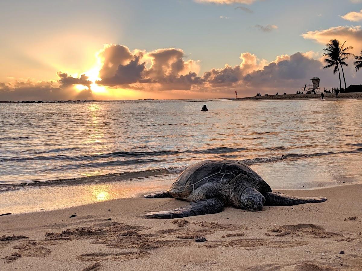 Poipu Beach