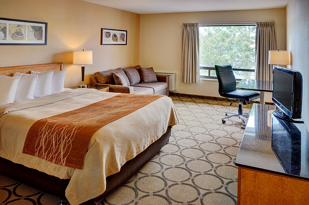 Comfort Inn photo 3