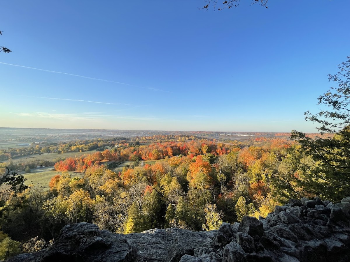 Rattlesnake Point Conservation Area (Reservations Required)