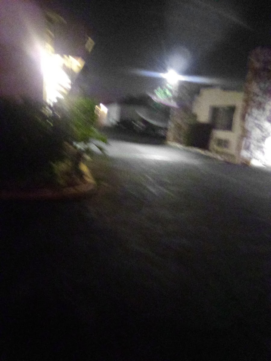 Silver Saddle Motel photo 3