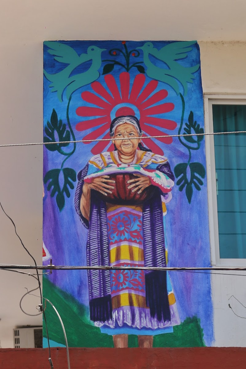 Hotel Tuxtepec photo 2
