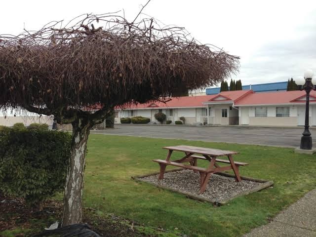 Rainbow Motor Inn photo 3