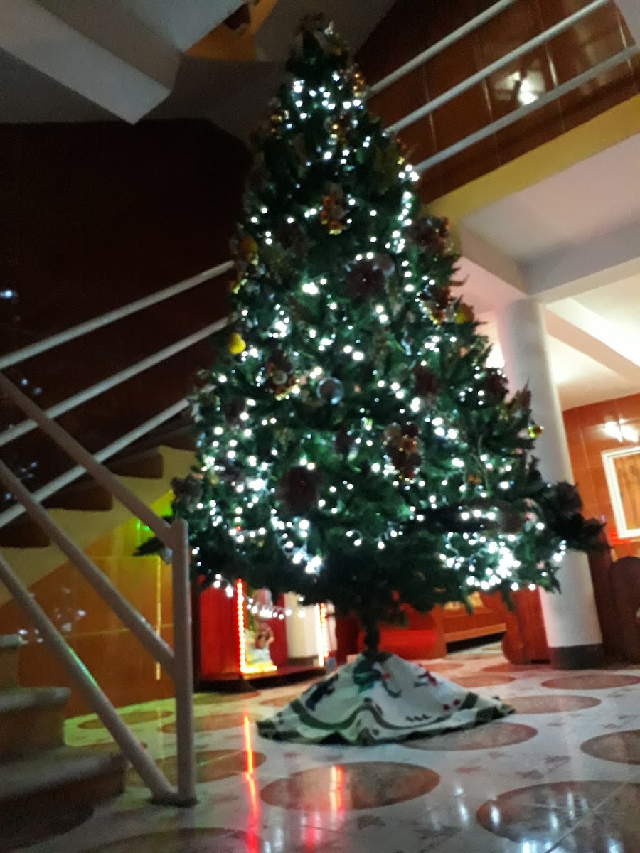 Hotel California photo 3