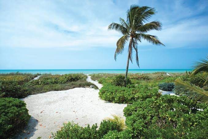 South Seas photo 3