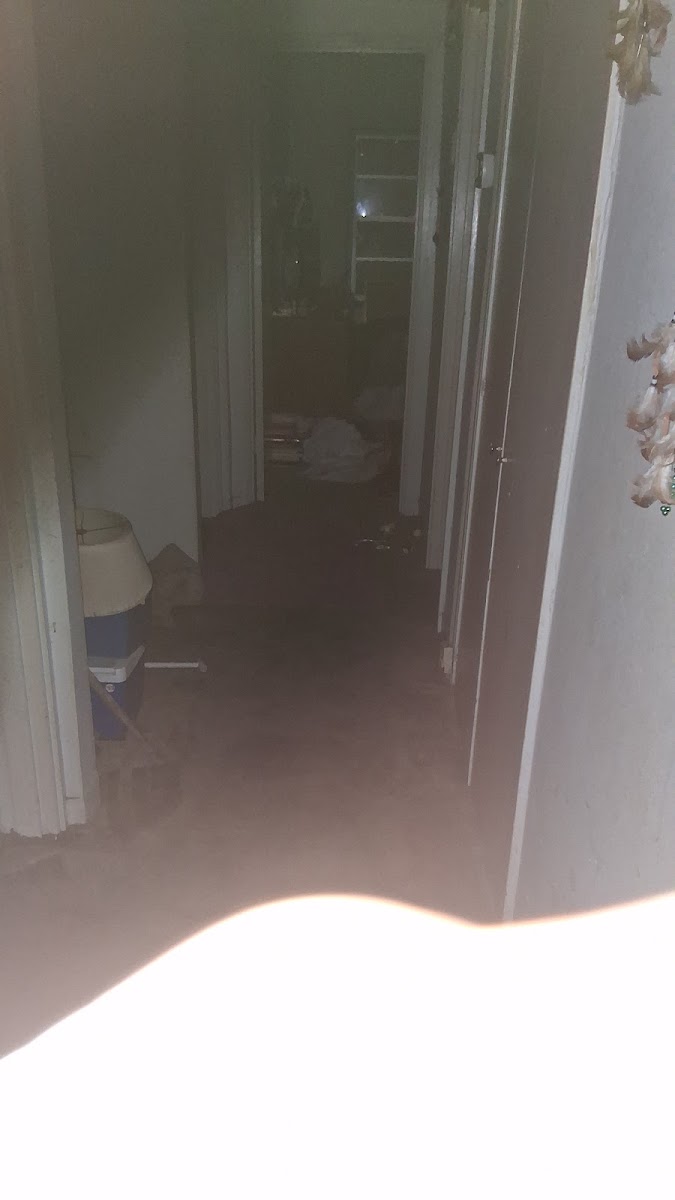 Monterey Motel photo 2