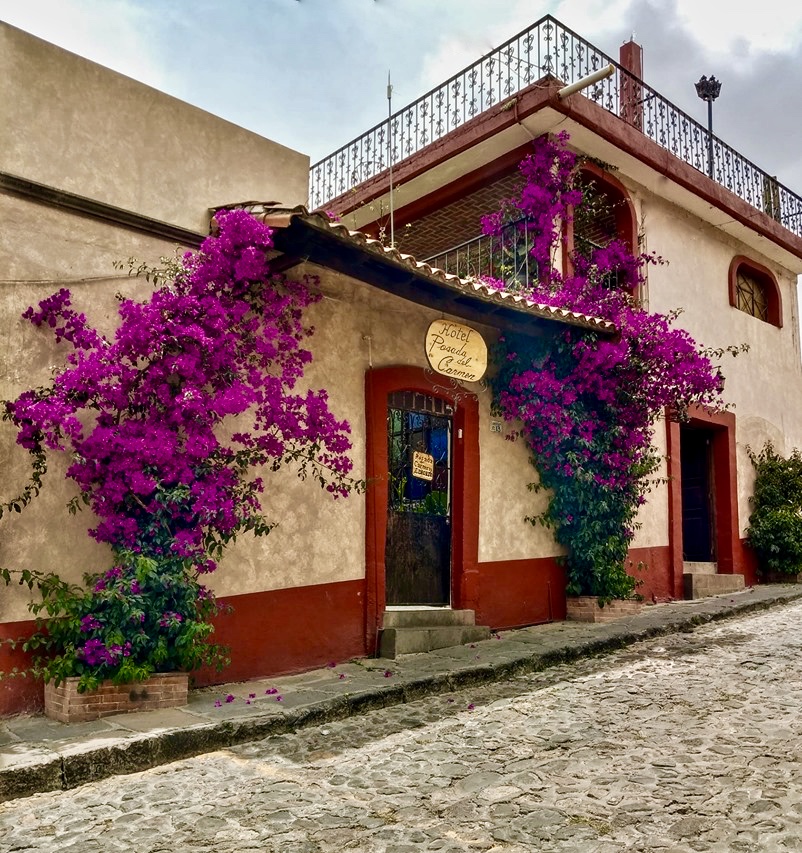 Hotel del Carmen