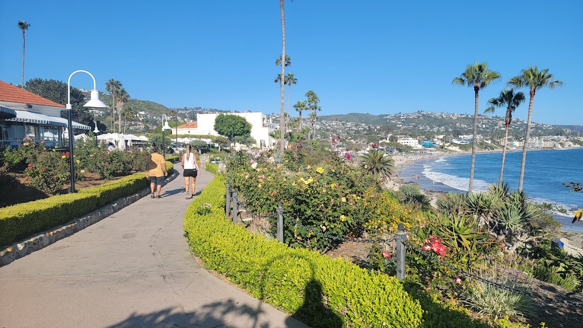 Hotel Laguna photo 2