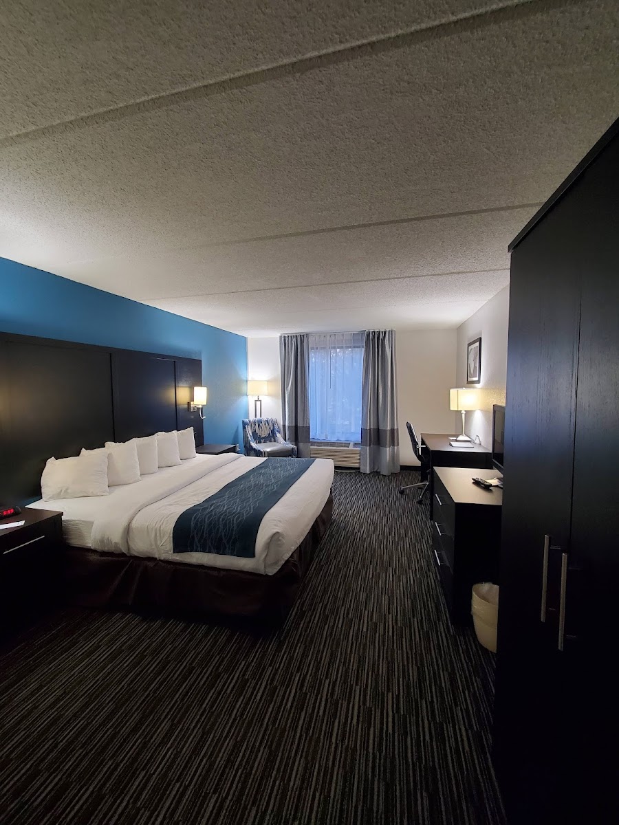 Comfort Inn University photo 3