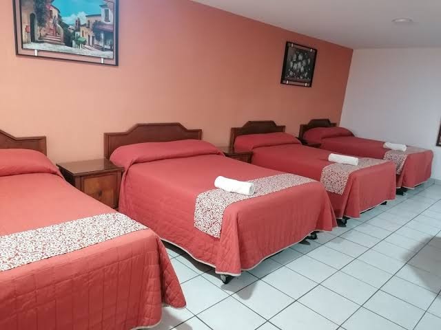 Hotel San Fernando photo 3
