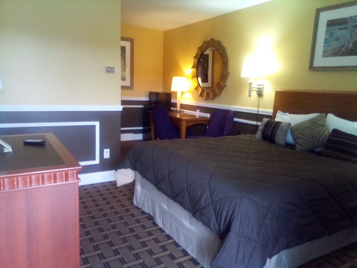 Windsor Motel photo 2