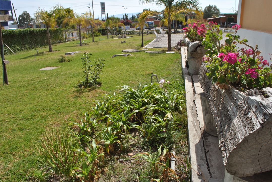 Hotel - San Miguel photo 3