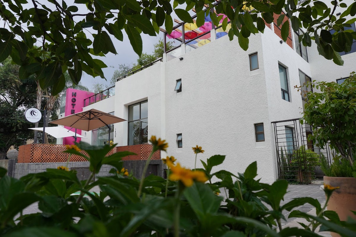 Hotel Consulado photo 3