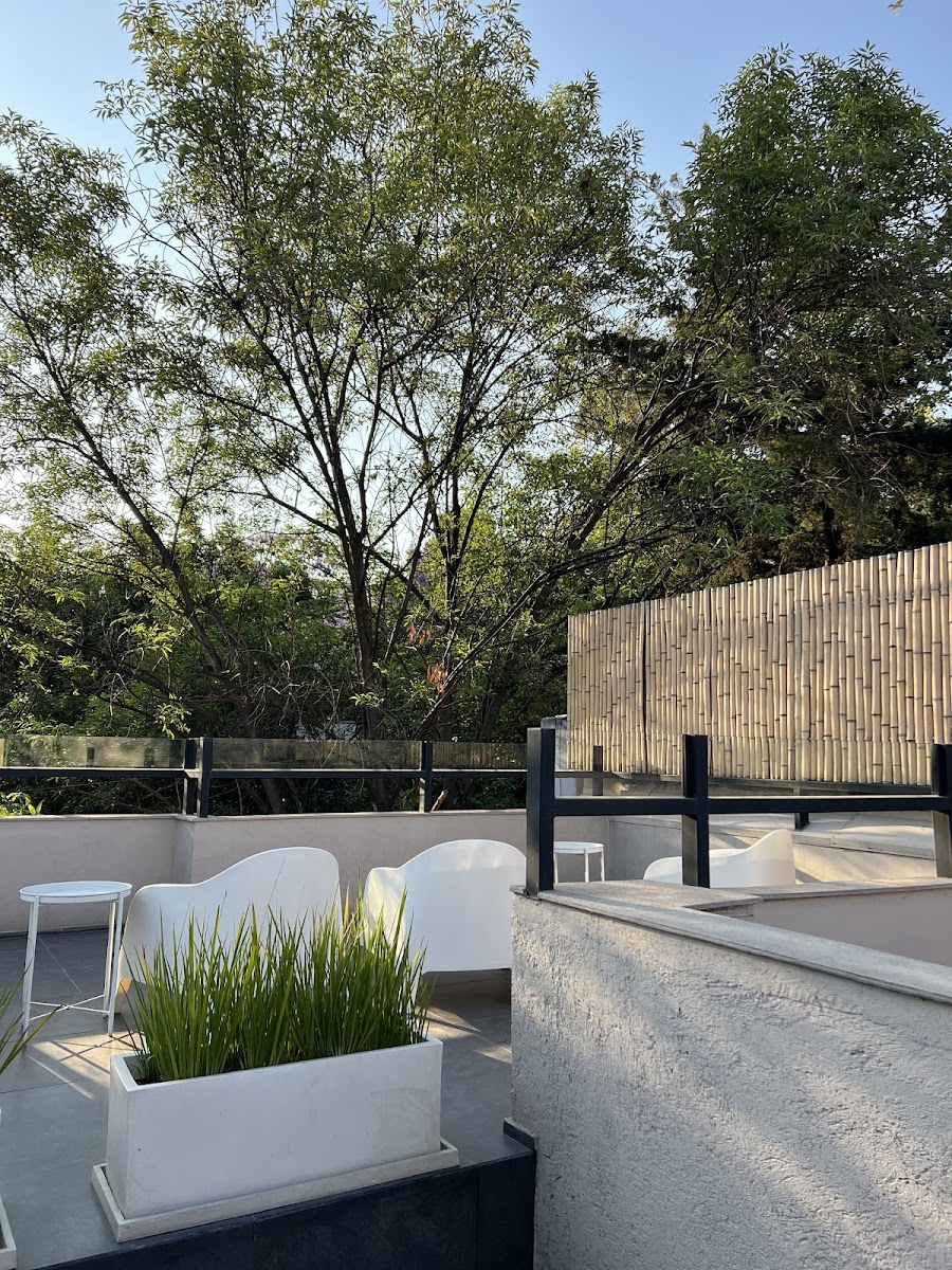 Suites Condesa photo 3