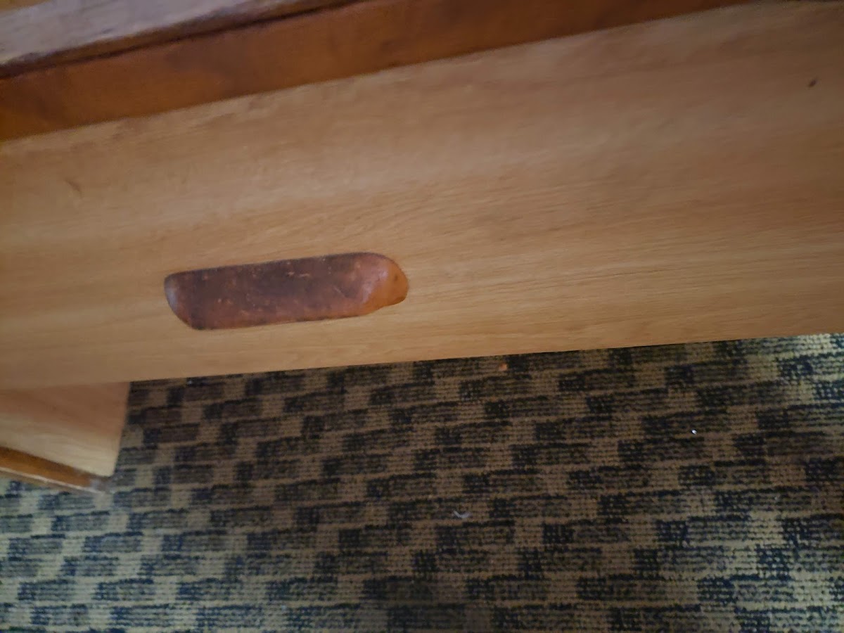 Carolina Lodge photo 2
