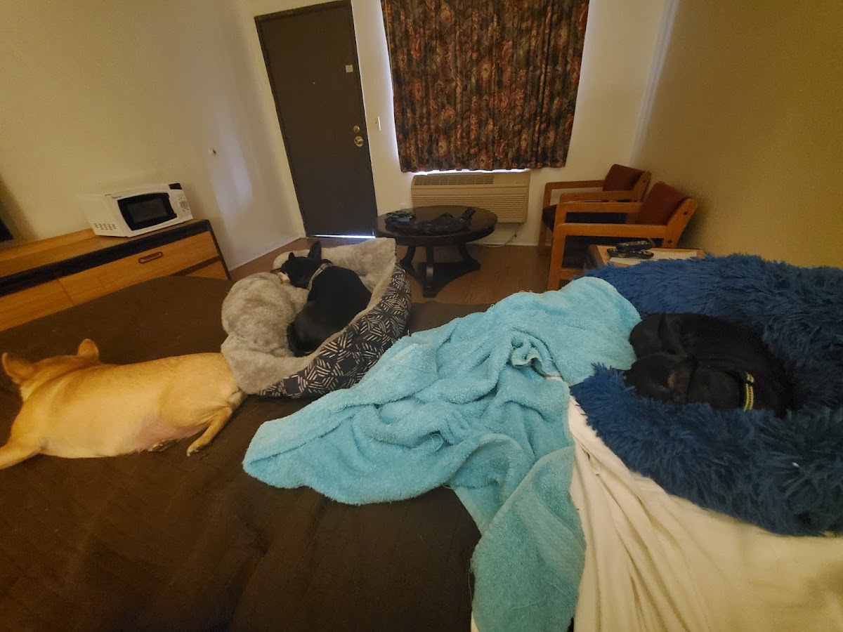 Evergreen Inn photo 3