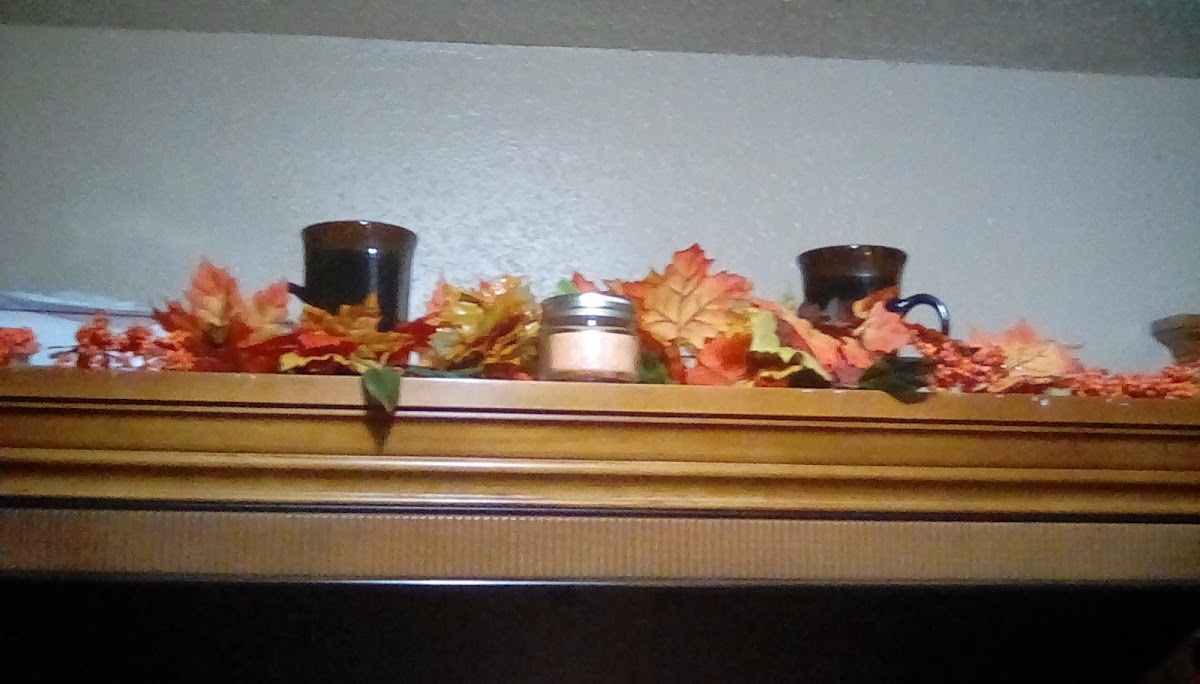 Colonial Motel photo 3
