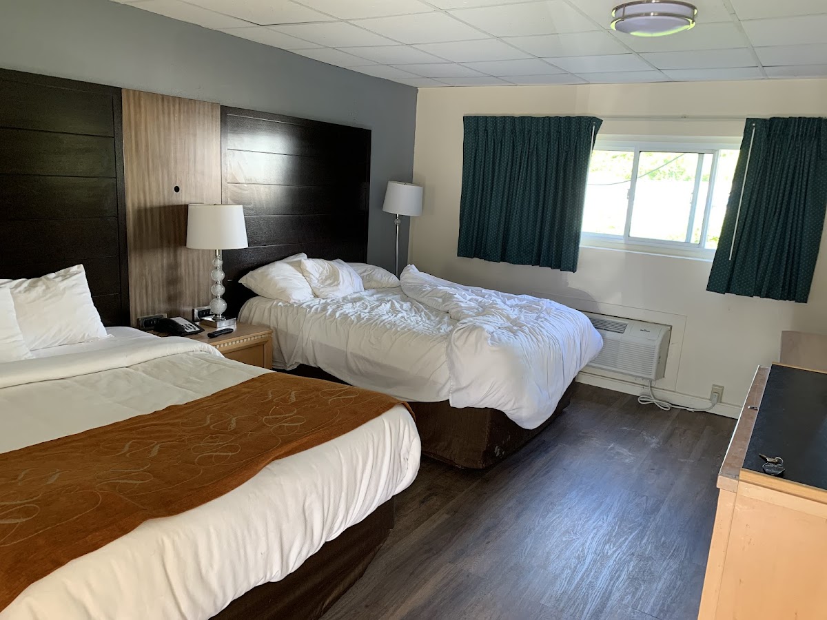 Bedford Motel photo 3