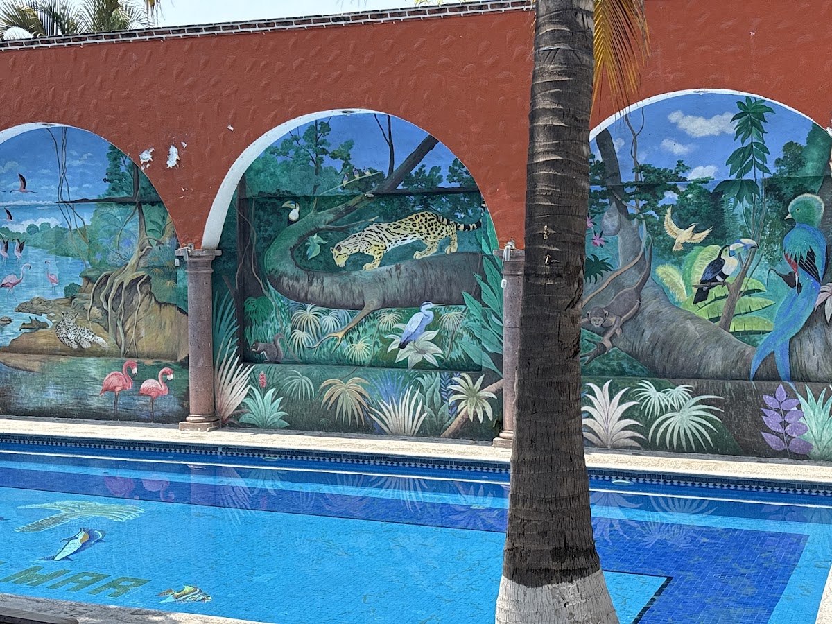 Hotel Fiesta Palmar photo 3