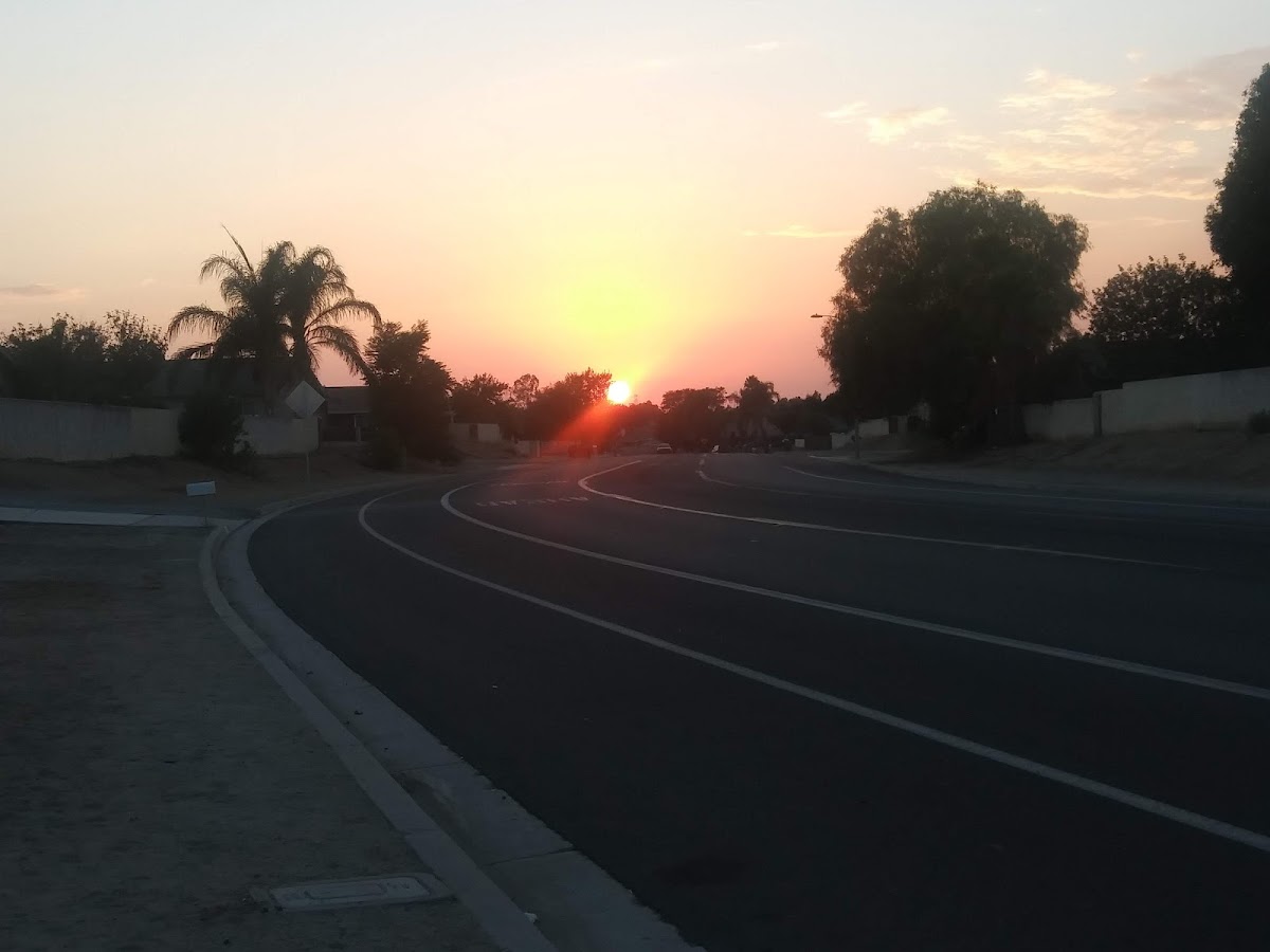La Palma Motel photo 2