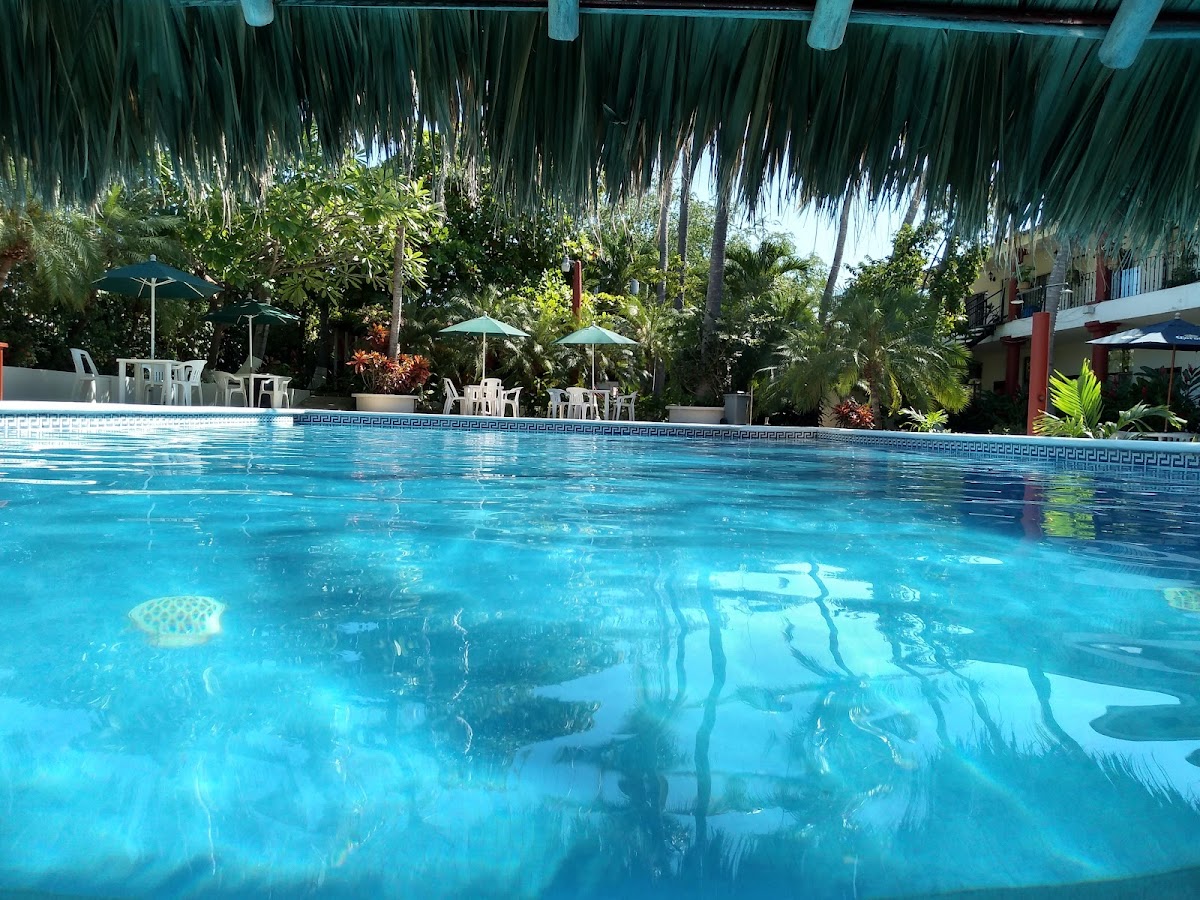 Hotel Albatros photo 3