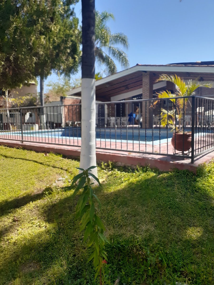 Hotel Los Soles photo 3