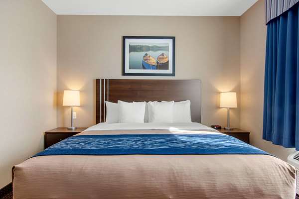Comfort Inn & Suites photo 2