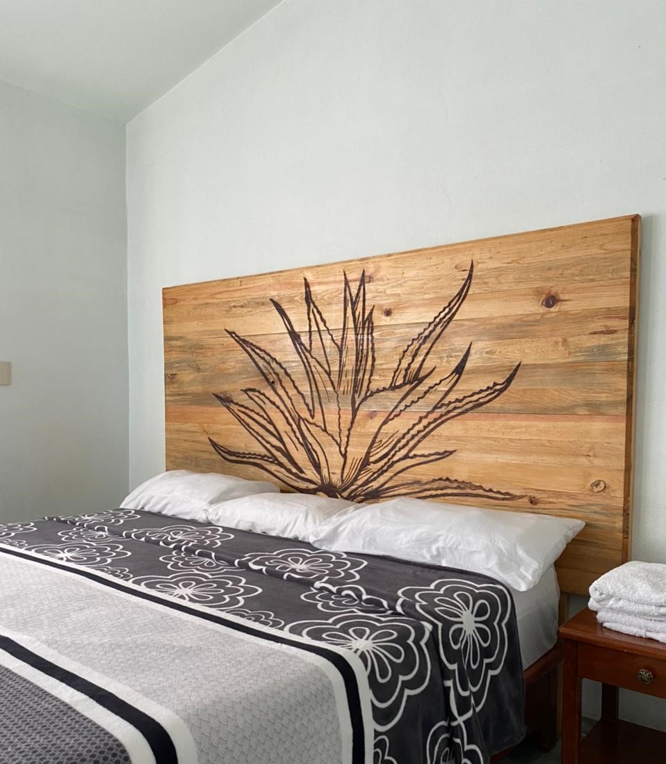 Hotel El Pedregal photo 2