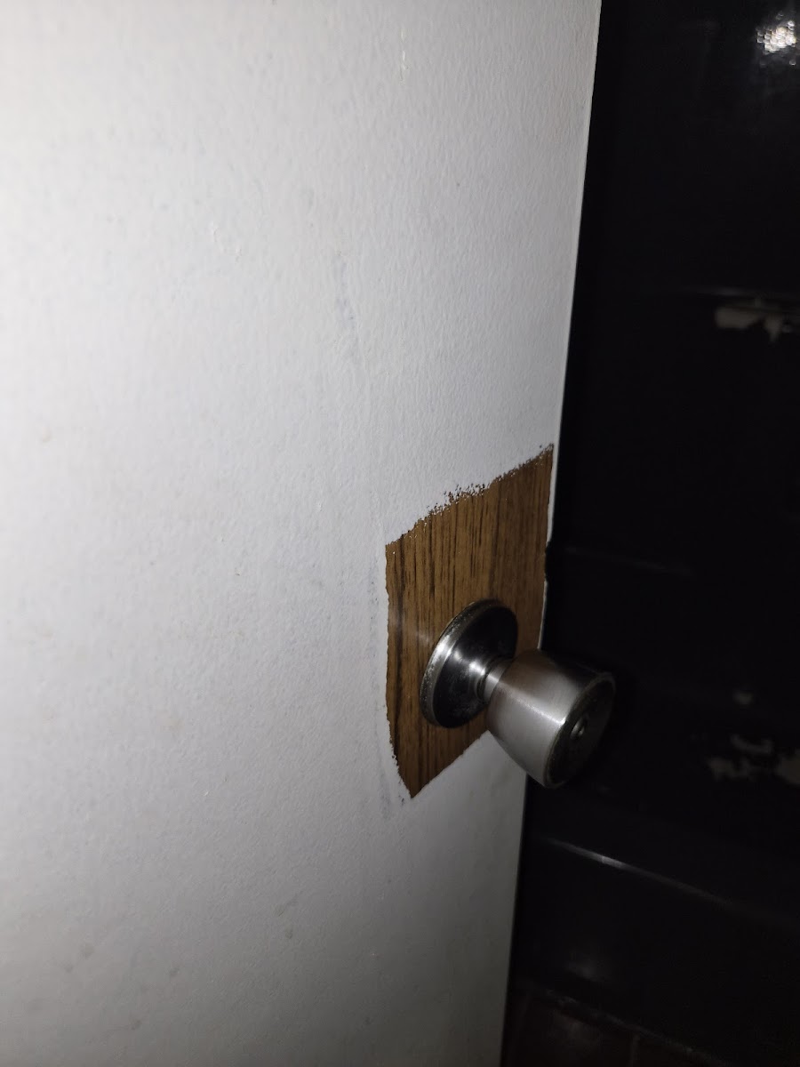 Executive Inn photo 3