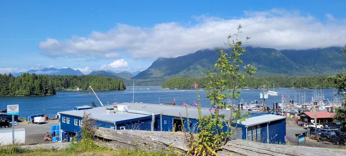 Schooner Motel photo 3