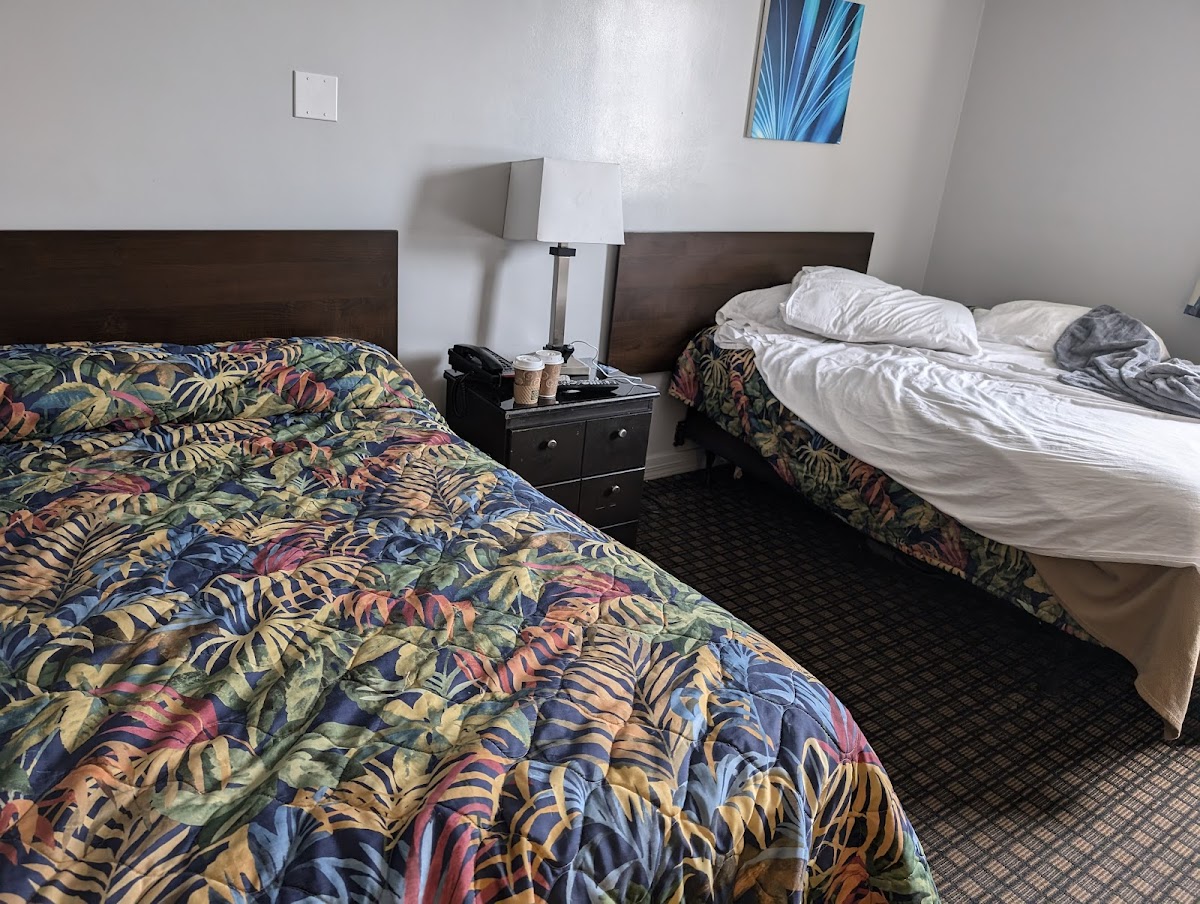 Airport Motor Inn photo 2