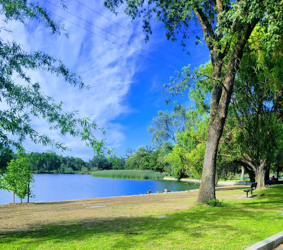 Lodi Lake