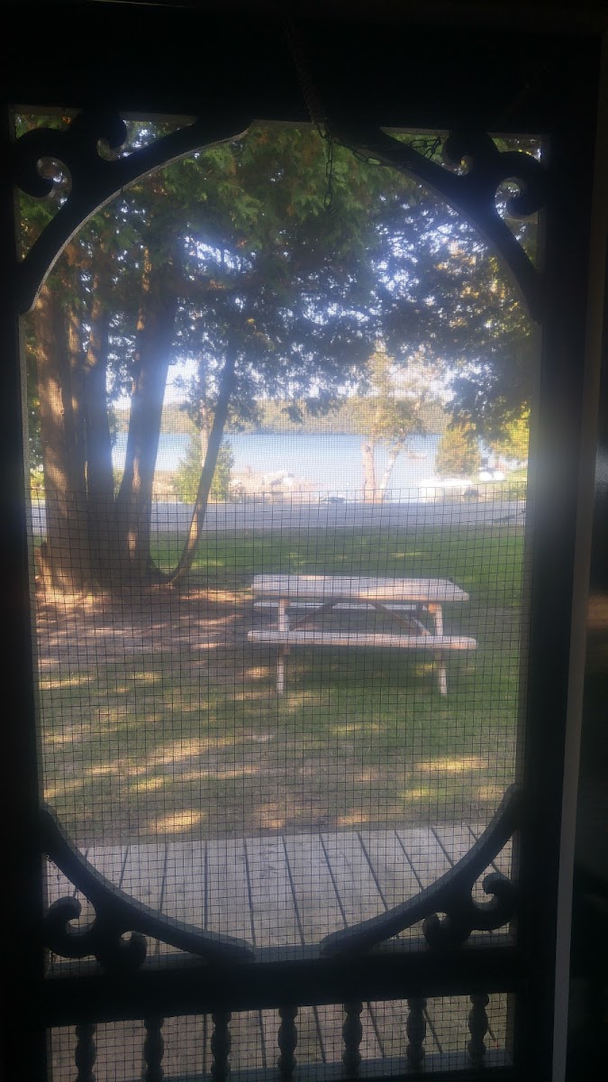 Pirate's Cove photo 3