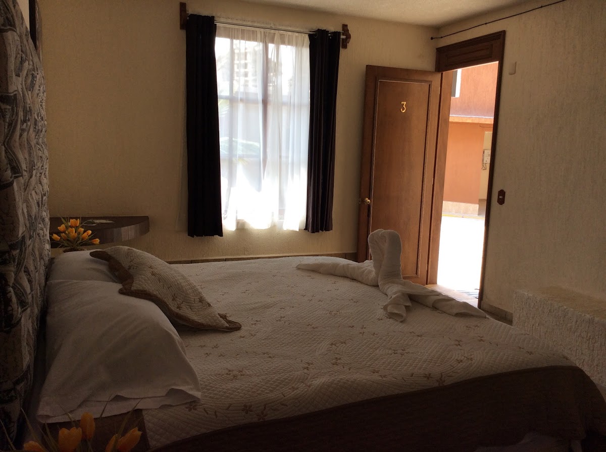 Hotel Villa Jardin photo 3