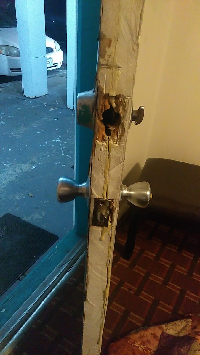 Travel Inn photo 2